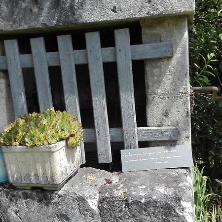 Gite O Beauval Saint-Aignan  Ngoại thất bức ảnh