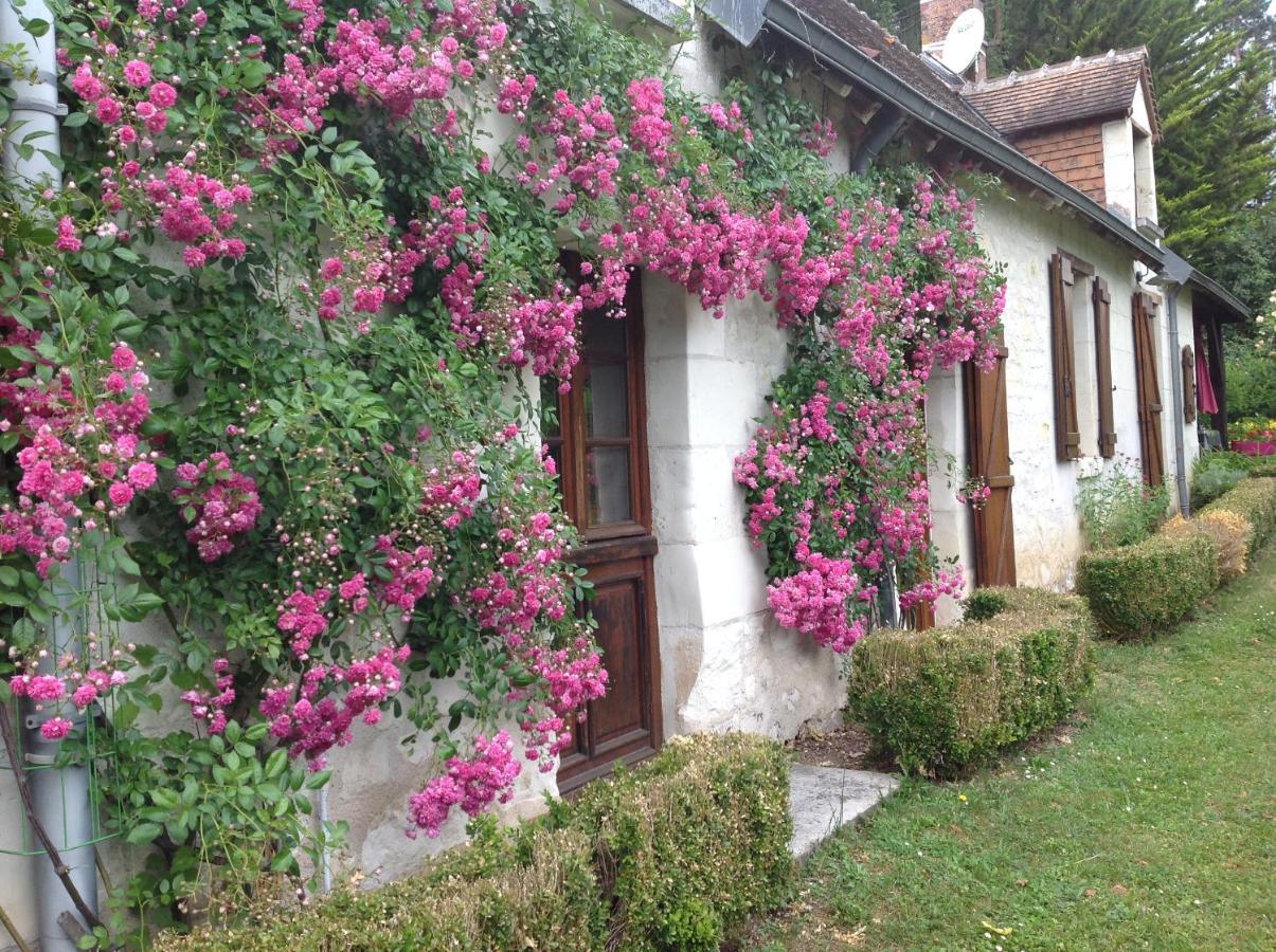 Gite O Beauval Saint-Aignan  Ngoại thất bức ảnh