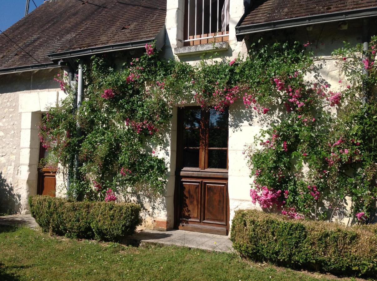 Gite O Beauval Saint-Aignan  Ngoại thất bức ảnh