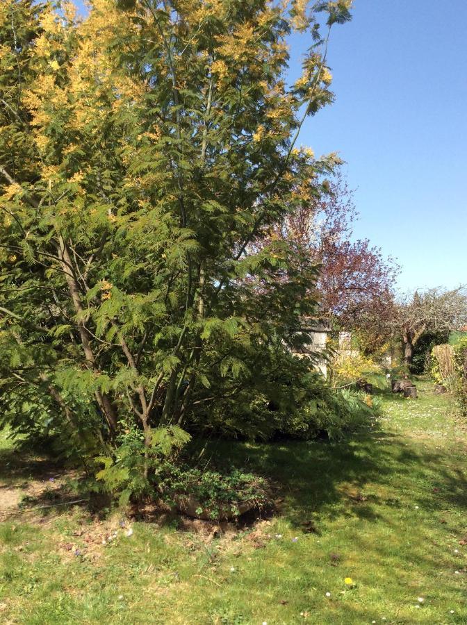 Gite O Beauval Saint-Aignan  Ngoại thất bức ảnh