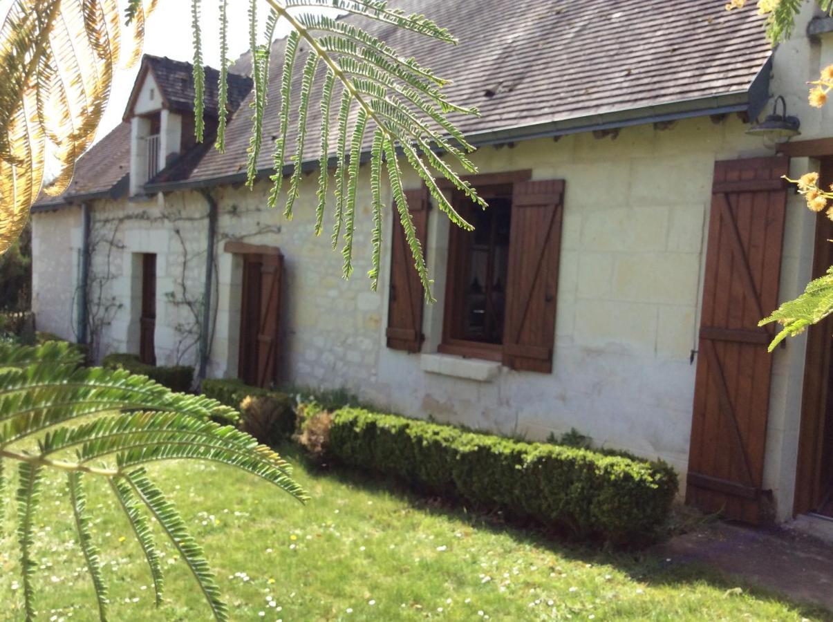 Gite O Beauval Saint-Aignan  Ngoại thất bức ảnh